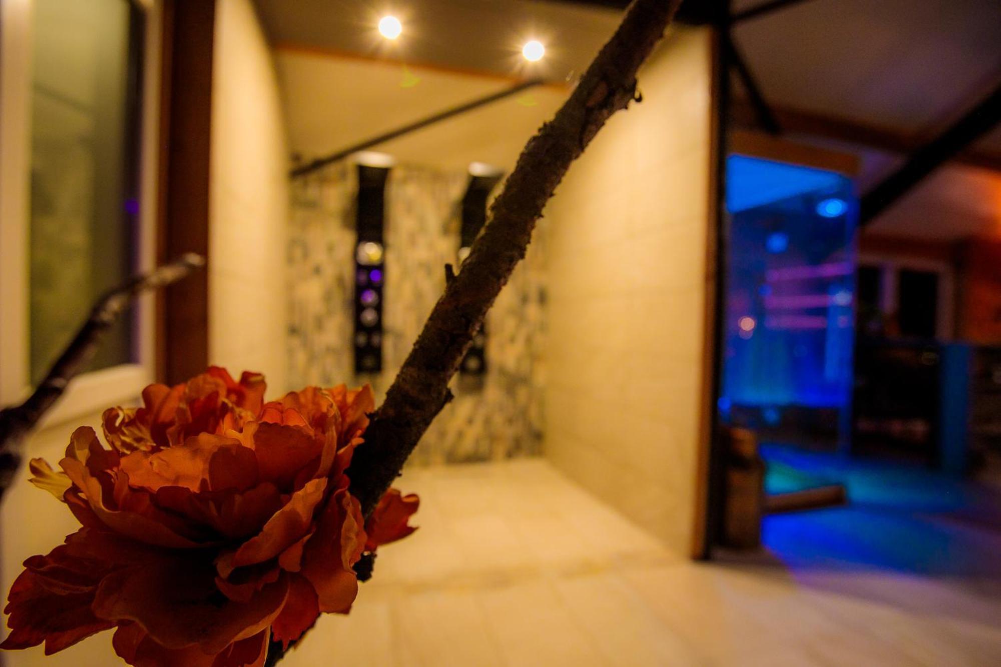 B&B En Wellness De Waalhoeve Angerlo Exteriér fotografie